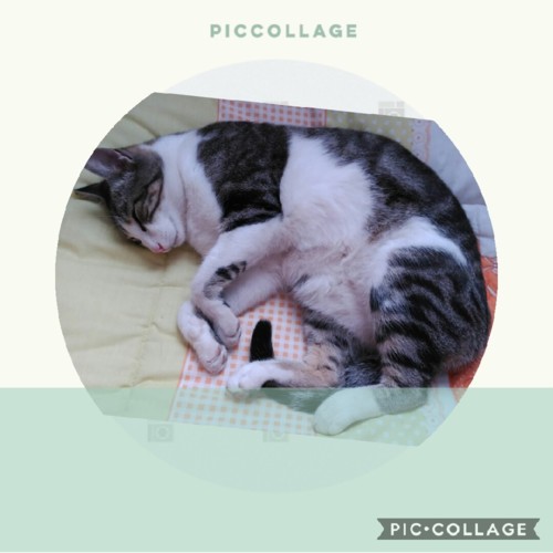 Collage 2018-10-04 12_28_01.jpg