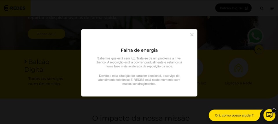 EXECIONAL E-REDES.JPG
