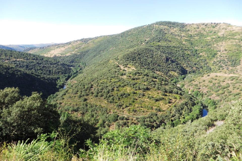 IMG_2786.JPG IMG_2786.JPG