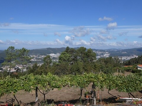 08a_Conhecer_Vale_de_Cambra_2025 (41).JPG