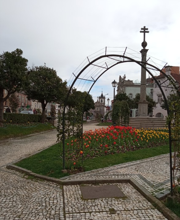 IMG_20210223_121215.jpg IMG_20210223_121215.jpg