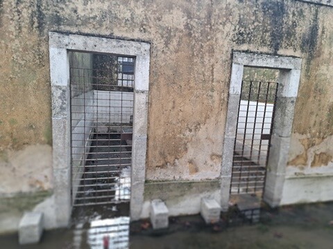 19b_Caldas_das_Taipas_Visita (25).jpg