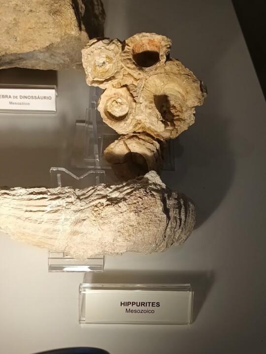 Não me canso disto Grutas1.jpg