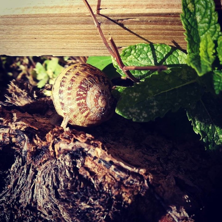 57393859_1350276865112071_8728668993507819520_n.jp