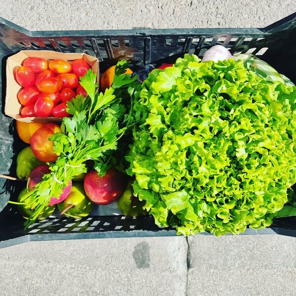 515500386_18487378261066958_6929147480684706241_n.