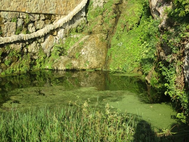 297886869_5252959774819285_107254562846233260_n.jp