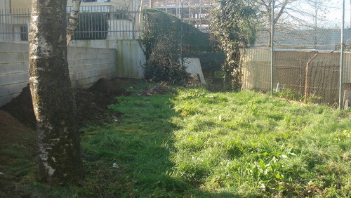 DSC09937.JPG