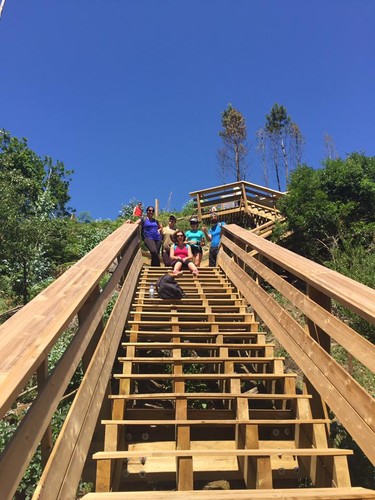 13528913_1268141999887372_7153203749112061592_n.jp