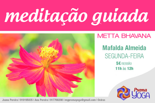 C MEDIT METTA 1_11h.jpg