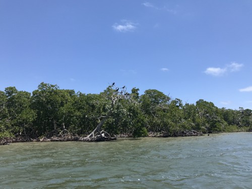 Primeira Casa da Rua by Nuno Matos Cabral no Méxi Primeira Casa da Rua by Nuno Matos Cabral no Méxi