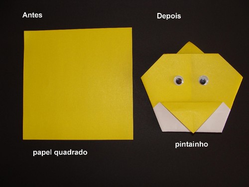 origami pintainho