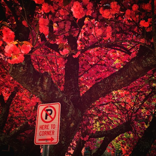 IMG_3318.JPG IMG_3318.JPG