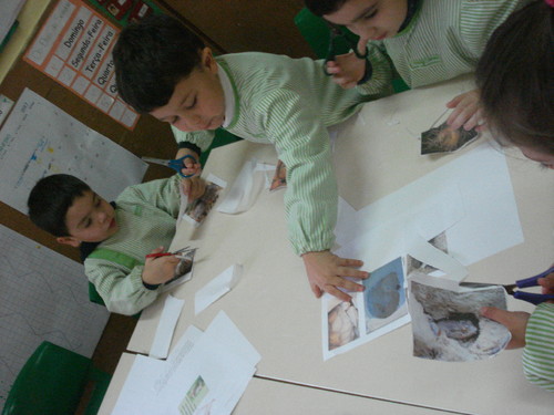 DSC07981.JPG DSC07981.JPG