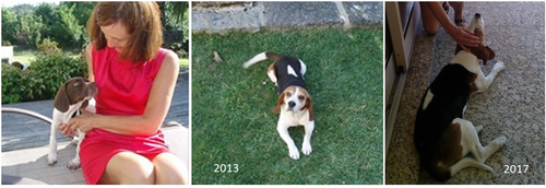 Sem Título.png Sem Título.png