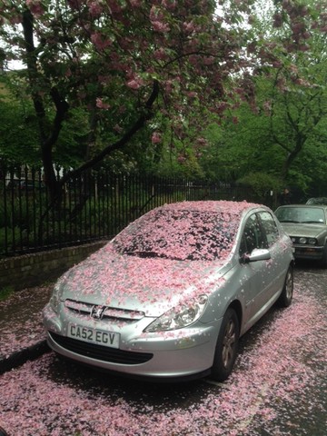 IMG_2085.JPG IMG_2085.JPG