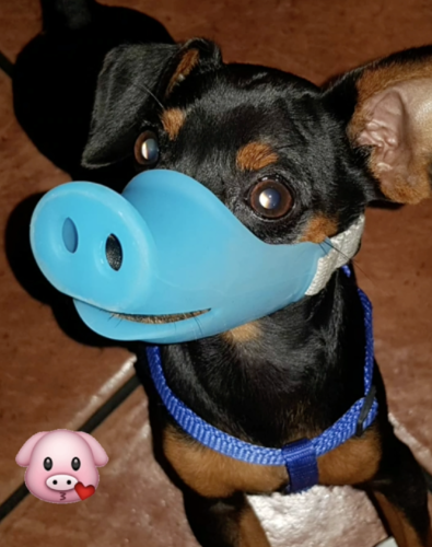 Captura de ecrã 2018-08-22, às 13.25.21.png Captura de ecrã 2018-08-22, às 13.25.21.png