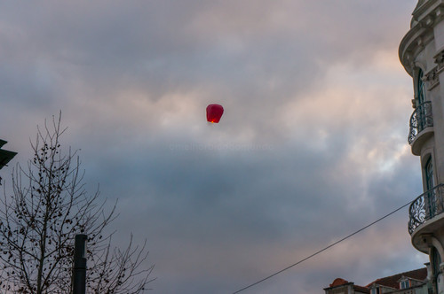 DSC00474.jpg DSC00474.jpg