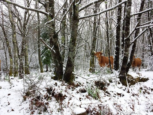 12074971_1001998963204026_6709413104100043120_n.jp