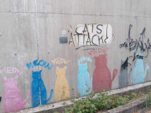 grafitti a parma_2015.jpg