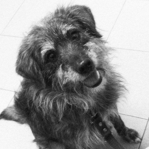 2016-02-03 19.48.53-1.jpg