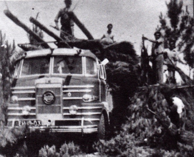 Carrada de Pinho Casa Pereira 1954.jpg