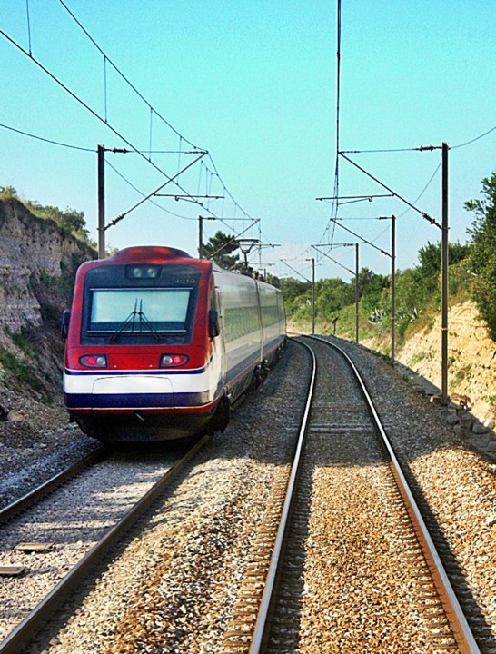 ALFA - PAMPILHOSA.jpg