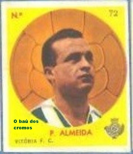 pinto de almeida.jpg