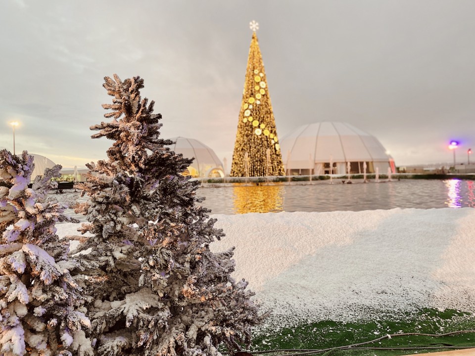 C119D6DE-B72D-49FE-955F-FA623B931D39.jpeg C119D6DE-B72D-49FE-955F-FA623B931D39.jpeg