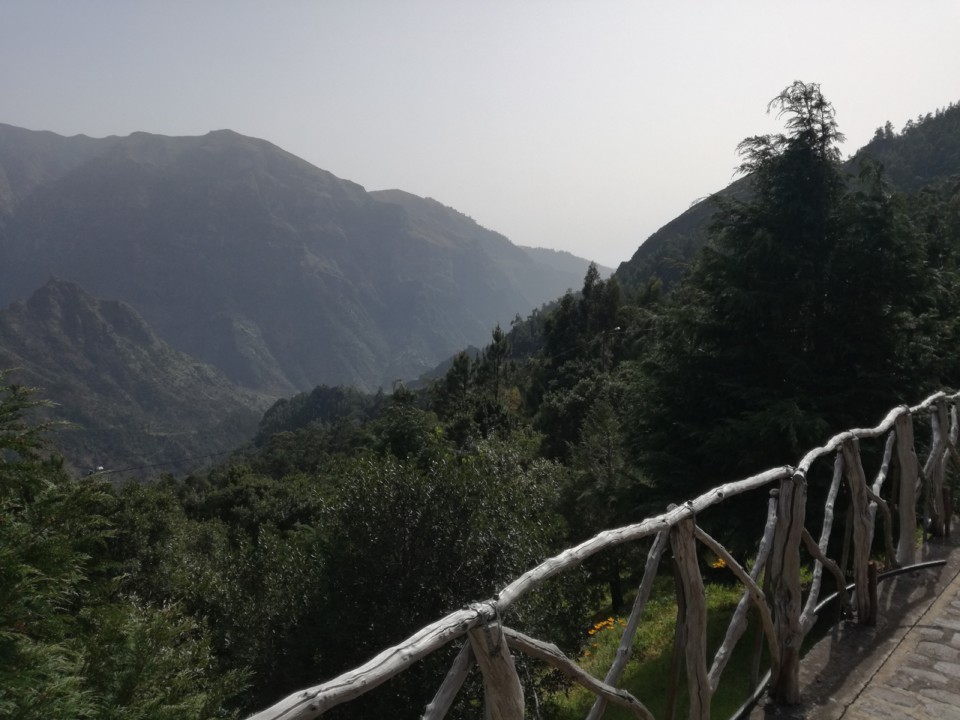 IMG_20200225_145028.jpg IMG_20200225_145028.jpg