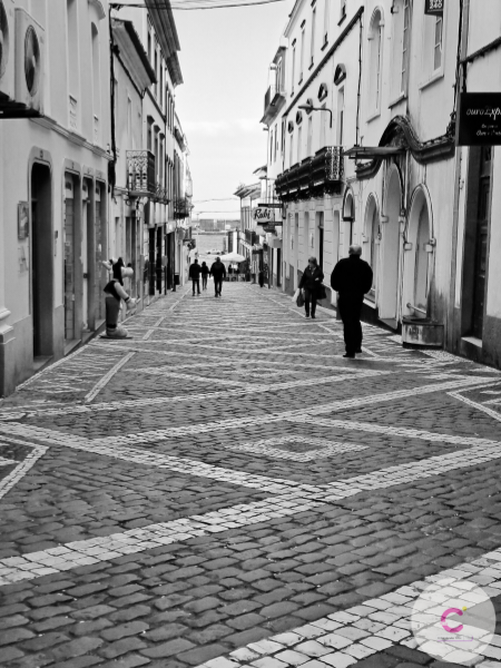 Dina Coelho (20).png