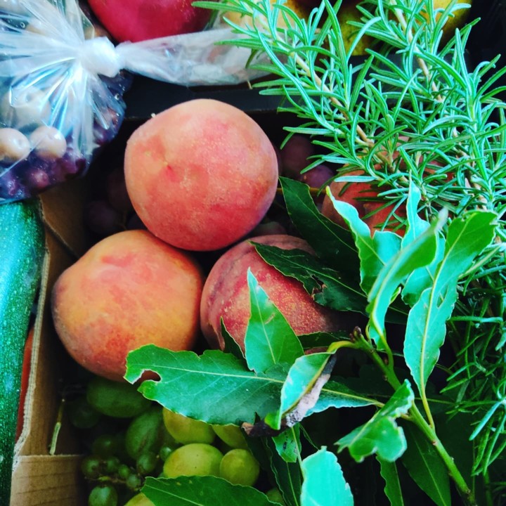 241512850_2121702017969548_7499098490974217009_n.j