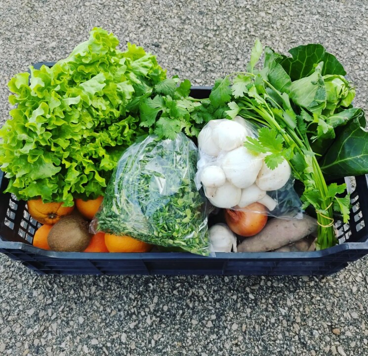 417771685_754745393349540_6159335681506694266_n.jp