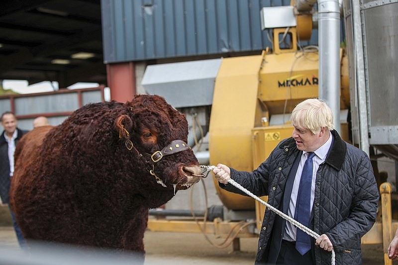 800px-Boris_Johnson_pulling_a_bull_in_Aberdeen.jpg