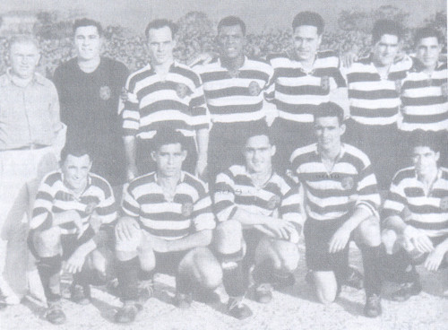 outros violinos.jpeg