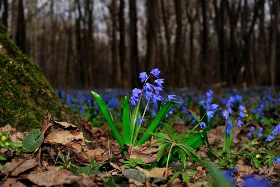 consciência vs reputação.jpg