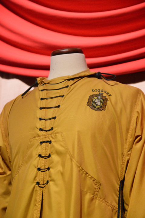 ExpHarryPotter_Mar2020-40.jpg ExpHarryPotter_Mar2020-40.jpg