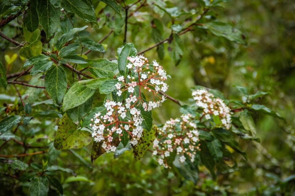 cascata do boição 16.jpg
