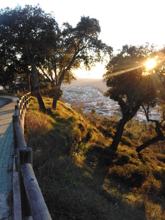 Foto original. A Cidade. Os Sobreiros. 2019. 01.jpg