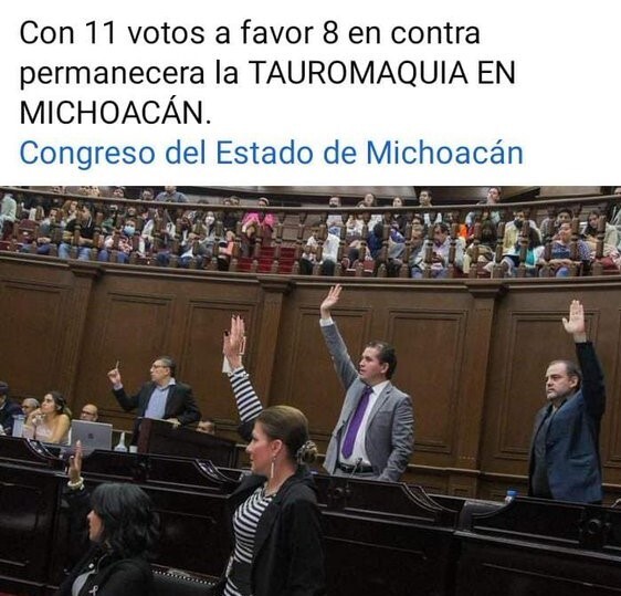 Votação.jpg