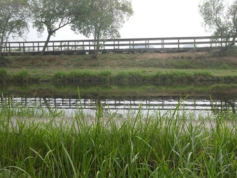 06a_Manhã_Praia_de_Mira (53).JPG