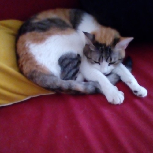 IMG_20160921_194913.jpg IMG_20160921_194913.jpg