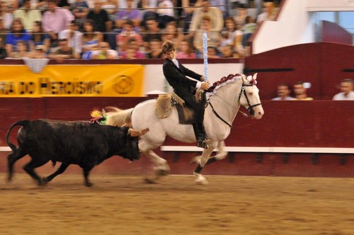 Rui Lopes, no andamento de entrada...