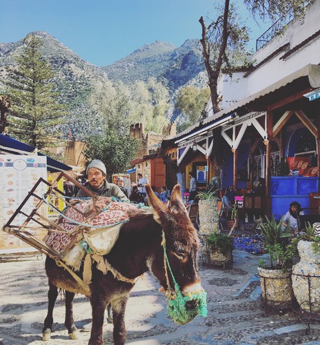 IMG_6586.JPG IMG_6586.JPG