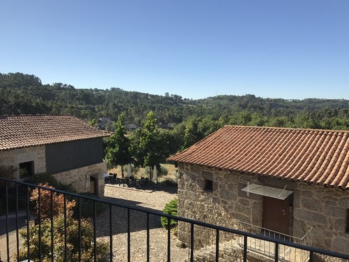 IMG_0996.JPG IMG_0996.JPG