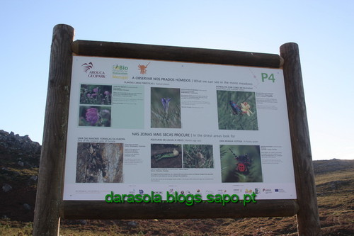 Biodiversidade_Freita_12.JPG Biodiversidade_Freita_12.JPG