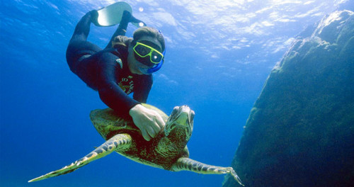 Noronha_mergulhador-tartaruga-zaida-matheus.jpg Noronha_mergulhador-tartaruga-zaida-matheus.jpg