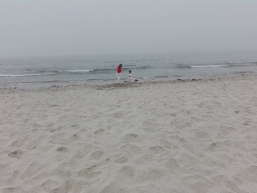 IMG_20180725_132900.jpg IMG_20180725_132900.jpg