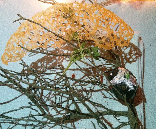 IMG_20160520_215926 (2).jpg IMG_20160520_215926 (2).jpg