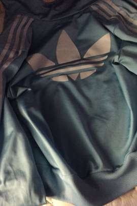 casaco _ imsgem msn_noticias ao minuto.jpg