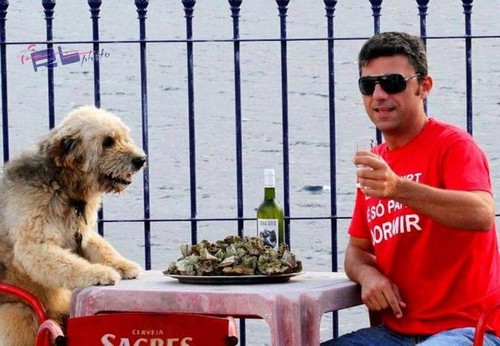 Os cãopadres a comemorar a sua quinta-feira...